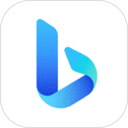 New Bing 网页版入口