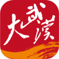 大武汉2021HD安卓旧版下载