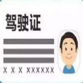 电子驾驶证切换海外版