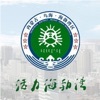 云上海勃湾旧版下载2022