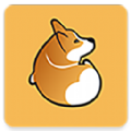 Corgi网官方下载
